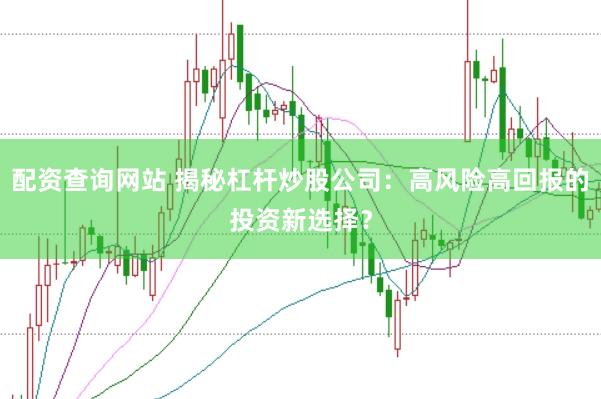 配资查询网站 揭秘杠杆炒股公司：高风险高回报的投资新选择？