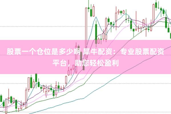 股票一个仓位是多少啊 犀牛配资：专业股票配资平台，助您轻松盈利