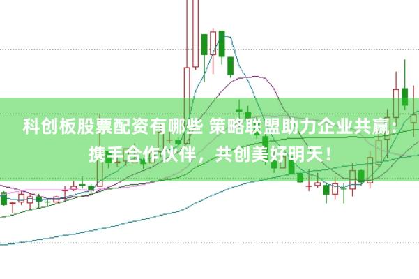 科创板股票配资有哪些 策略联盟助力企业共赢：携手合作伙伴，共创美好明天！