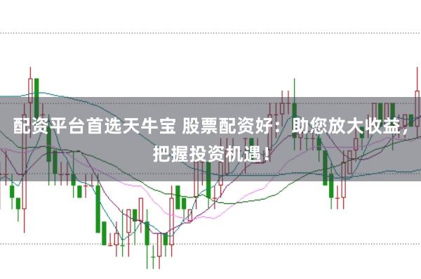 配资平台首选天牛宝 股票配资好：助您放大收益，把握投资机遇！