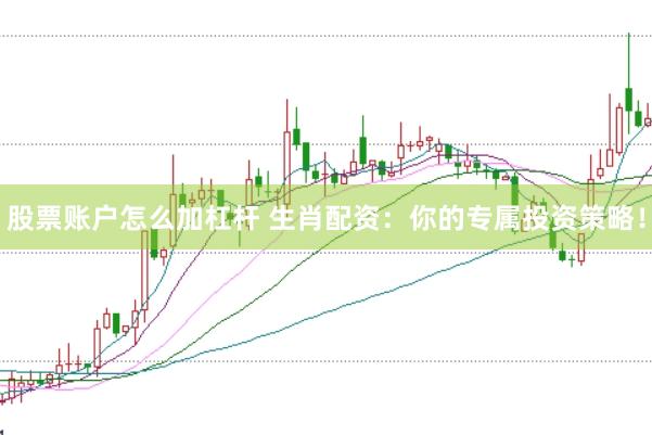 股票账户怎么加杠杆 生肖配资：你的专属投资策略！