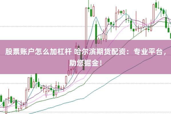 股票账户怎么加杠杆 哈尔滨期货配资：专业平台，助您掘金！