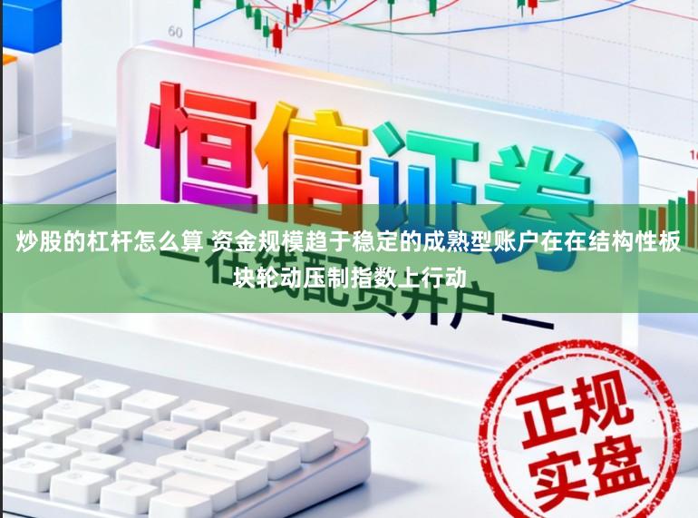 炒股的杠杆怎么算 资金规模趋于稳定的成熟型账户在在结构性板块轮动压制指数上行动